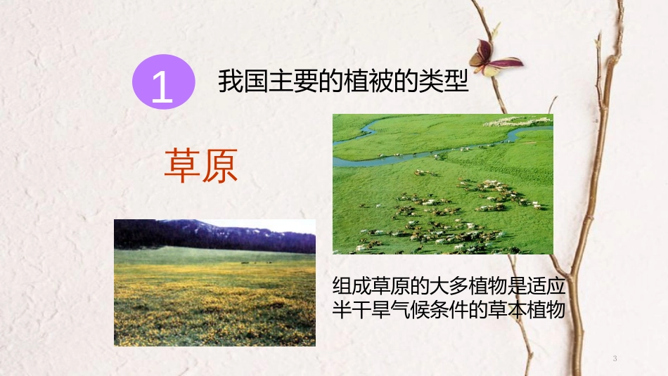 七年级生物上册 第三单元 第六章《爱护植被，绿化祖国》教学课件 （新版）新人教版_第3页