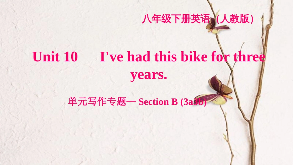 八年级英语下册 Unit 10 I've had this bike for three years写作专题—Section B(3a-3b)习题课件 （新版）人教新目标版_第1页