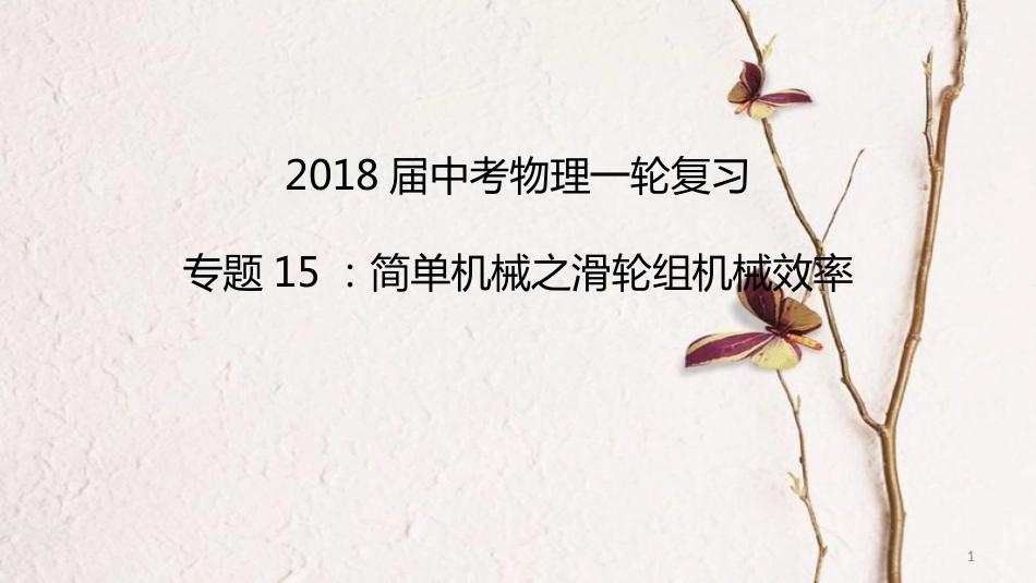 中考物理一轮复习 专题突破15 简单机械之滑轮组机械效率课件 新人教版_第1页