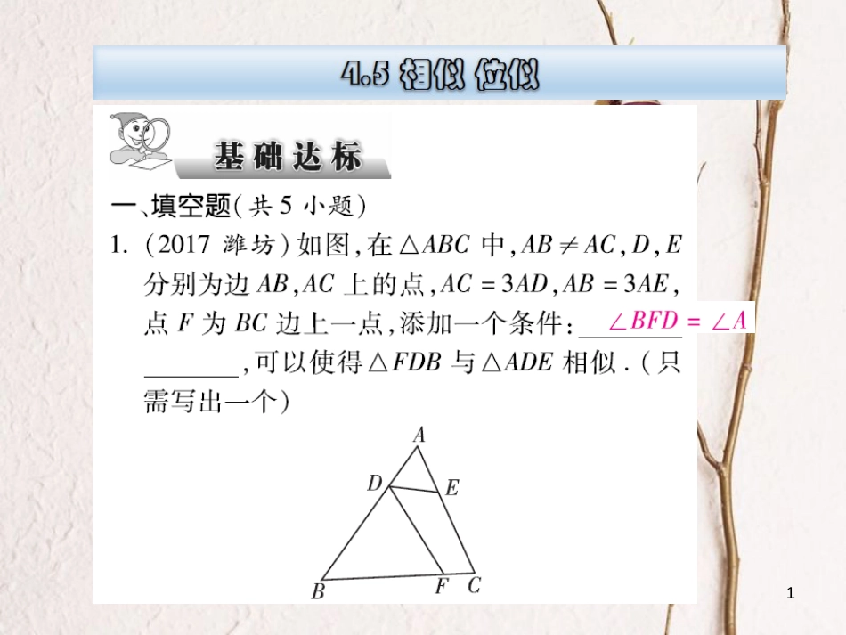 云南省中考数学总复习 第四章 三角形 4.5 相似 位似课件_第1页