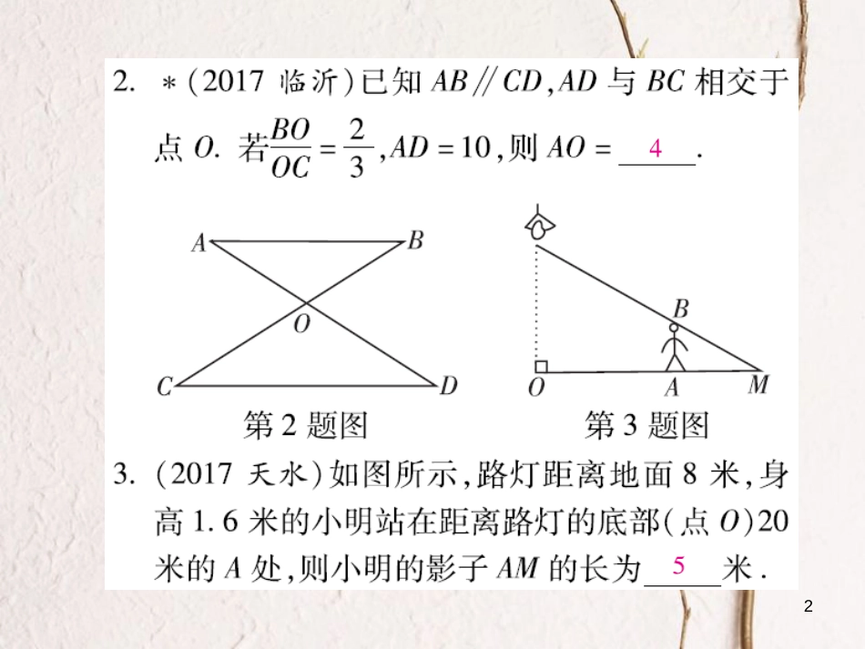 云南省中考数学总复习 第四章 三角形 4.5 相似 位似课件_第2页