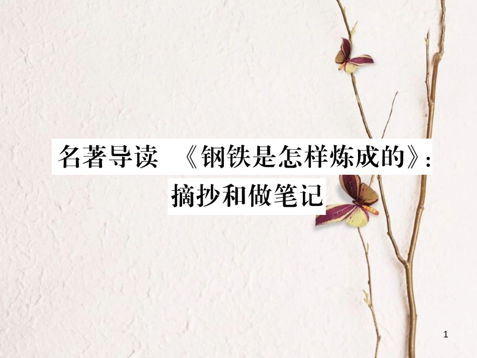 八年级语文下册 第六单元名著导读《钢铁是怎样练成的》摘抄和做笔记课件 新人教版_第1页