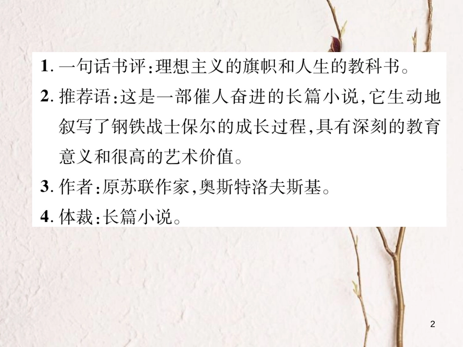 八年级语文下册 第六单元名著导读《钢铁是怎样练成的》摘抄和做笔记课件 新人教版_第2页