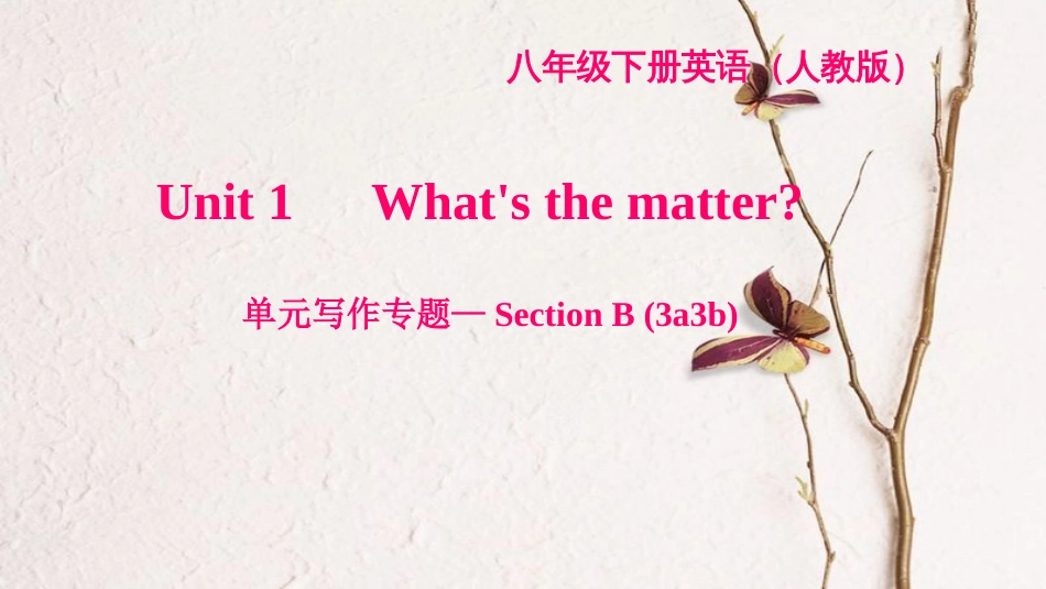 八年级英语下册 Unit 1 What's the matter写作专题—Section B(3a-3b)习题课件 （新版）人教新目标版_第1页