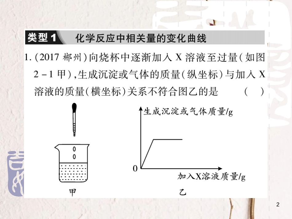 山东省中考化学复习 第二部分 重点题型突破 专题二 坐标图象题课件_第2页