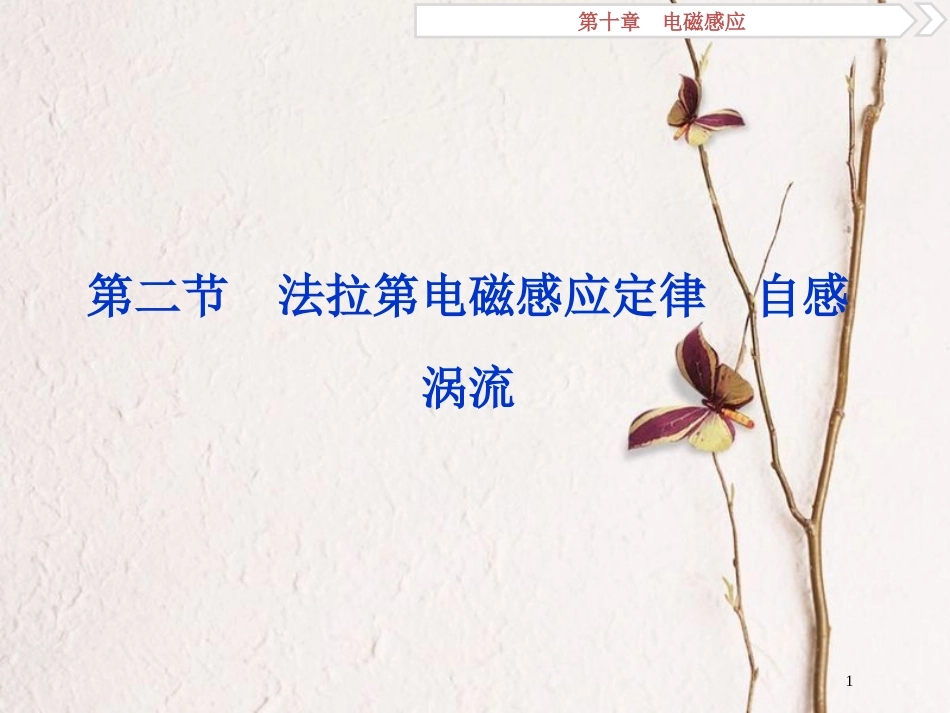 2019届高考物理总复习 第十章 电磁感应 第二节 法拉第电磁感应定律 自感 涡流课件_第1页