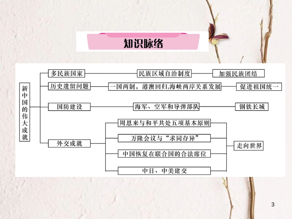 （青海专版）中考历史总复习 第一编 教材知识梳理 第17讲 民族团结与祖国统一 国防建设与外交成就课件_第3页