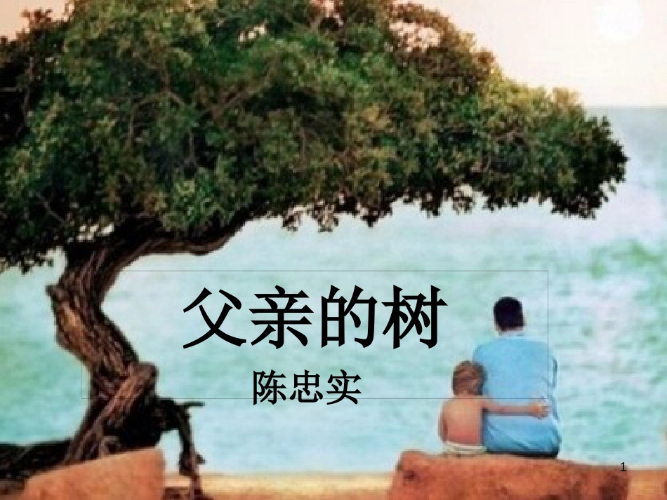 七年级语文上册 第四单元 第13课《父亲的树》课件1 北京课改版_第1页