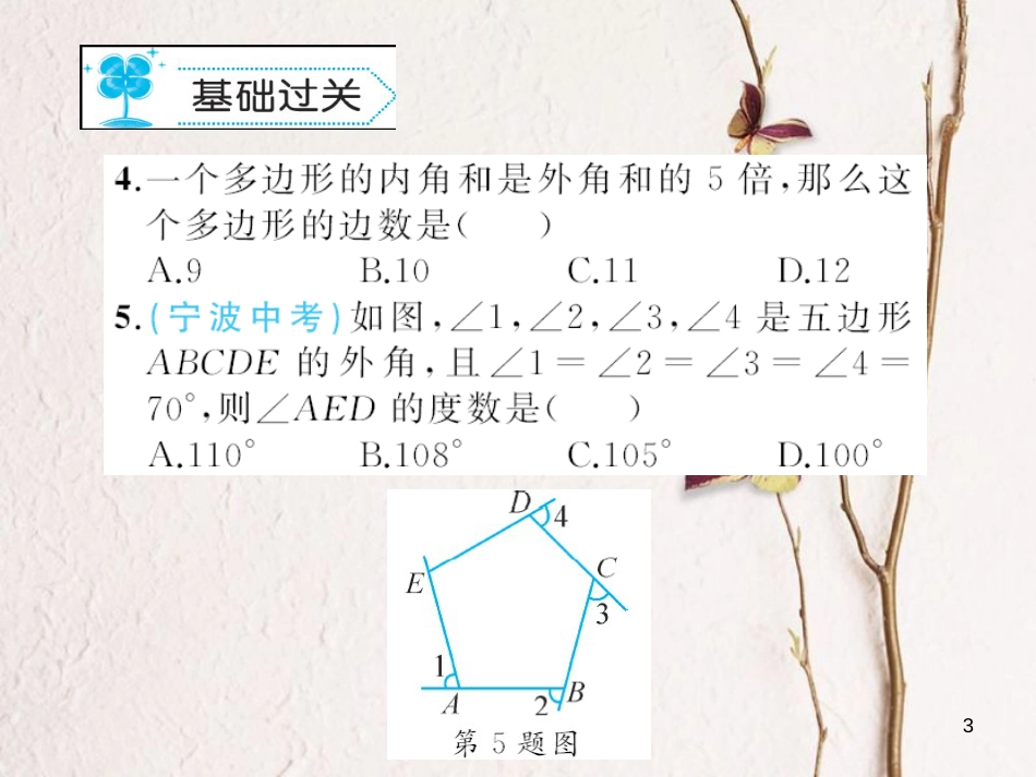 八年级数学下册 6 平行四边形 6.4 多边形的内角和与外角和习题课件 （新版）北师大版_第3页