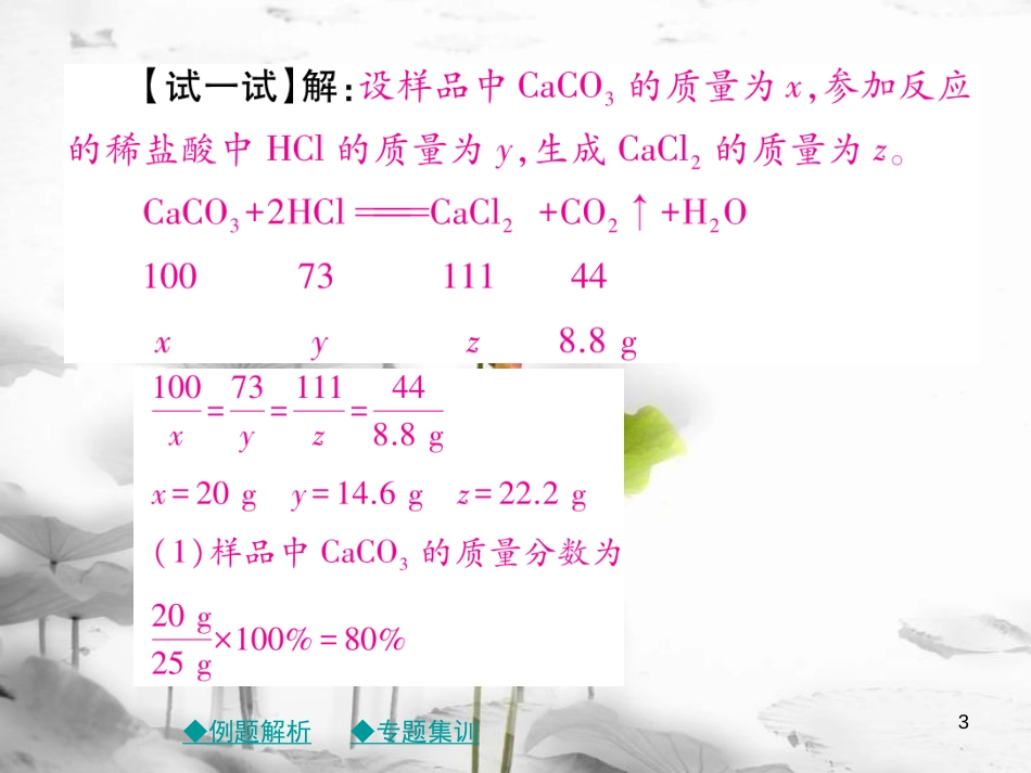 年春九年级化学下册 第九章 溶液 专题特训 有关溶液质量分数的基本计算（二）课件 （新版）新人教版_第3页