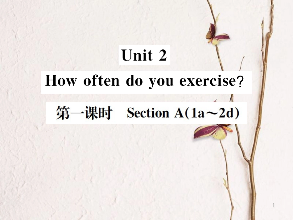 八年级英语上册 Unit 2 How often do you exercise（第1课时）习题课件 （新版）人教新目标版_第1页