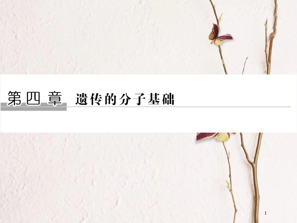 高中生物 第四章 遗传的分子基础 第11课时 探索遗传物质的过程课件 苏教版必修2_第1页