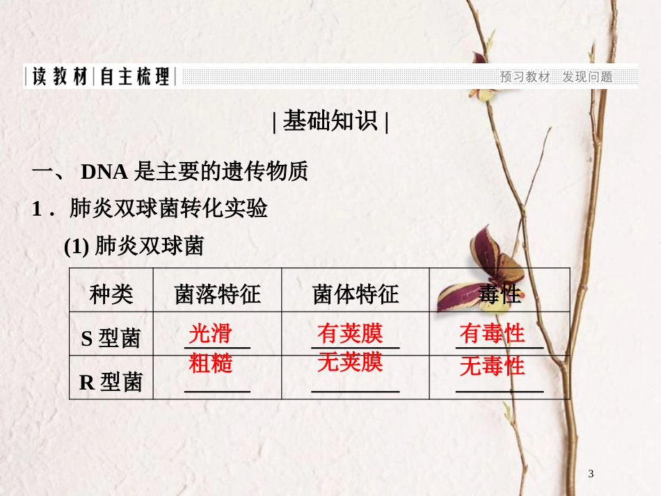高中生物 第四章 遗传的分子基础 第11课时 探索遗传物质的过程课件 苏教版必修2_第3页