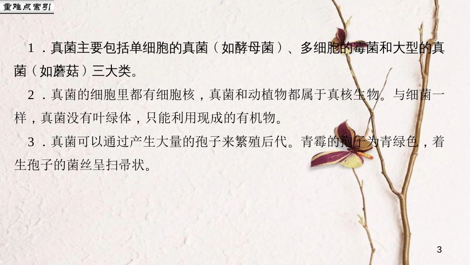 八年级生物上册 第五单元 第四章 第三节 真菌课件 （新版）新人教版_第3页
