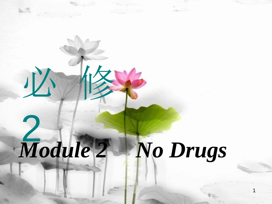 高考英语一轮复习 Module 2 No Drugs课件 外研版必修2_第1页