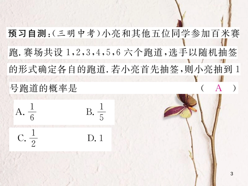 九年级数学下册 第4章 概率 4.2.1 概率的概念作业课件 （新版）湘教版_第3页