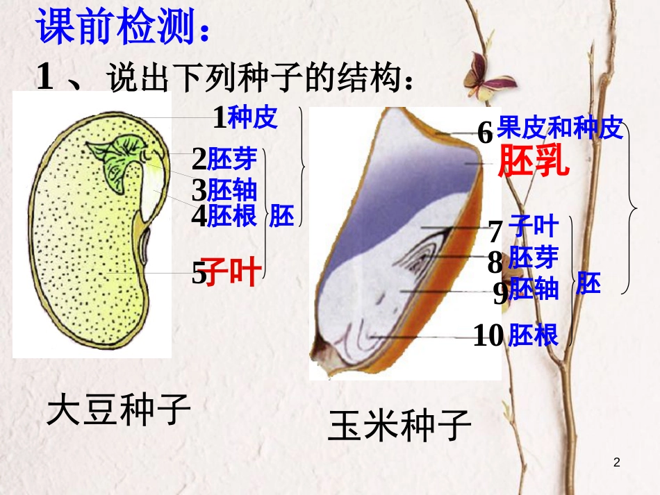 湖南省桑植县七年级生物上册 第三单元 第二章 第一节 种子的萌发（第1课时）课件 （新版）新人教版_第2页