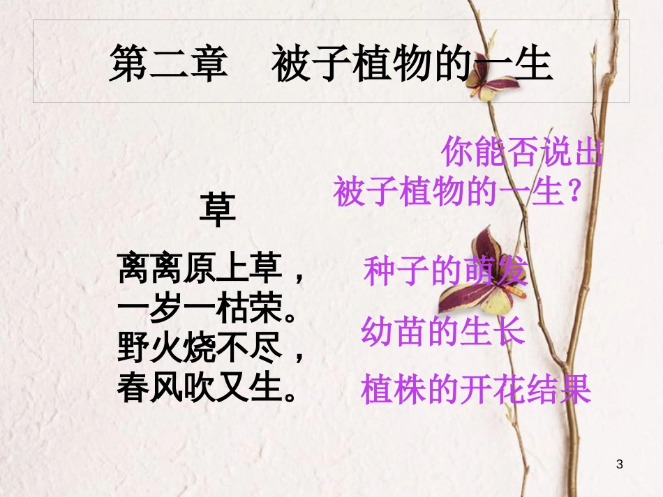 湖南省桑植县七年级生物上册 第三单元 第二章 第一节 种子的萌发（第1课时）课件 （新版）新人教版_第3页