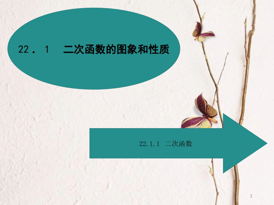 九年级数学上册 22 二次函数 22.1 二次函数的图象和性质 22.1.1 二次函数课件 （新版）新人教版_第1页