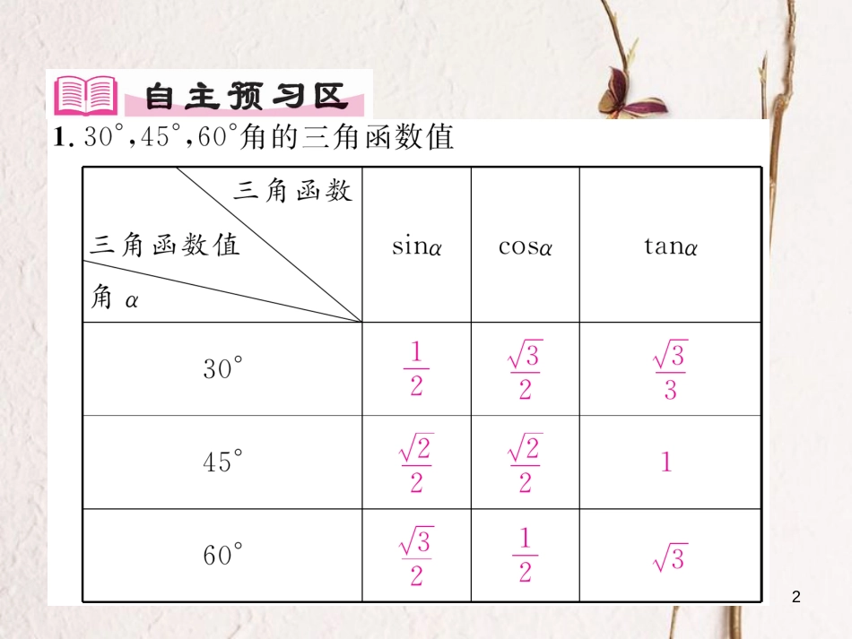 九年级数学下册 第一章 直角三角形的边角关系 1.2 30°，45°，60°角的三角函数值作业课件 （新版）北师大版_第2页