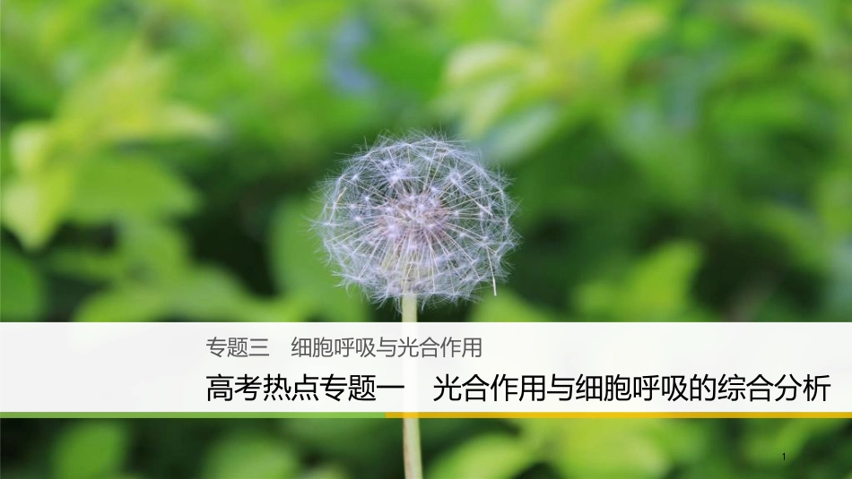 （浙江选考）高三生物二轮专题复习 专题三 细胞呼吸与光合作用 高考热点专题一 光合作用与细胞呼吸的综合分析课件 新人教版_第1页