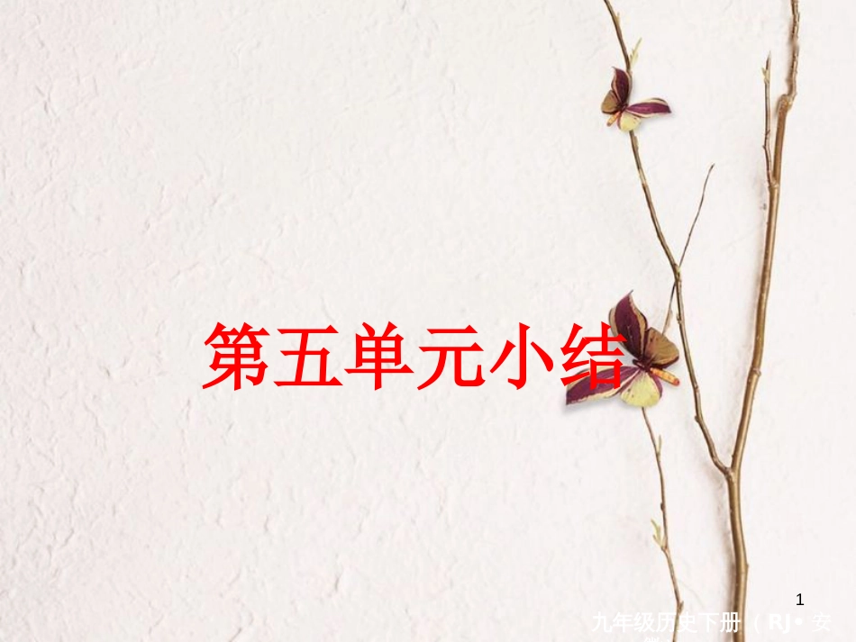 （安徽专版）九年级历史下册 第五单元 社会主义国家的改革与演变小结同步测试课件 新人教版_第1页