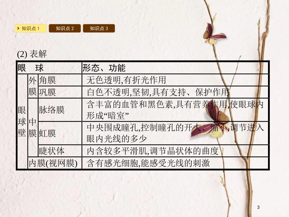 2018七年级生物下册 12.2 感受器和感觉器官课件1 （新版）北师大版_第3页