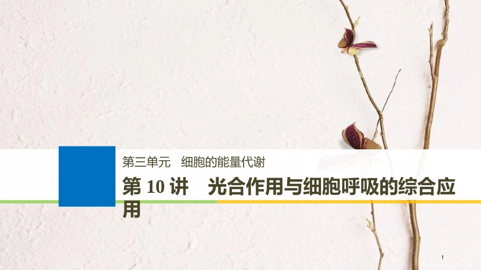 2019版生物高考大一轮复习 第三单元 细胞的能量代谢 第10讲 光合作用与细胞呼吸的综合应用课件 北师大版_第1页
