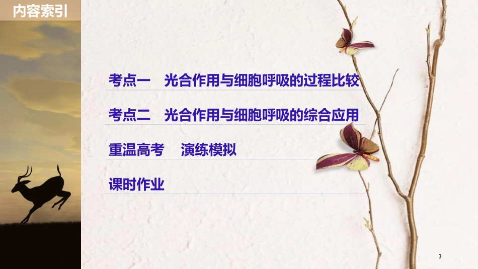 2019版生物高考大一轮复习 第三单元 细胞的能量代谢 第10讲 光合作用与细胞呼吸的综合应用课件 北师大版_第3页