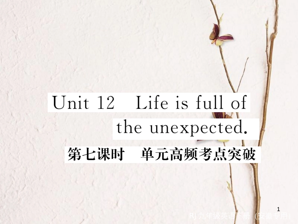 （安徽专版）九年级英语全册 Unit 12 Life is full of the unexpected（第7课时）高频考点突破习题课件 （新版）人教新目标版_第1页