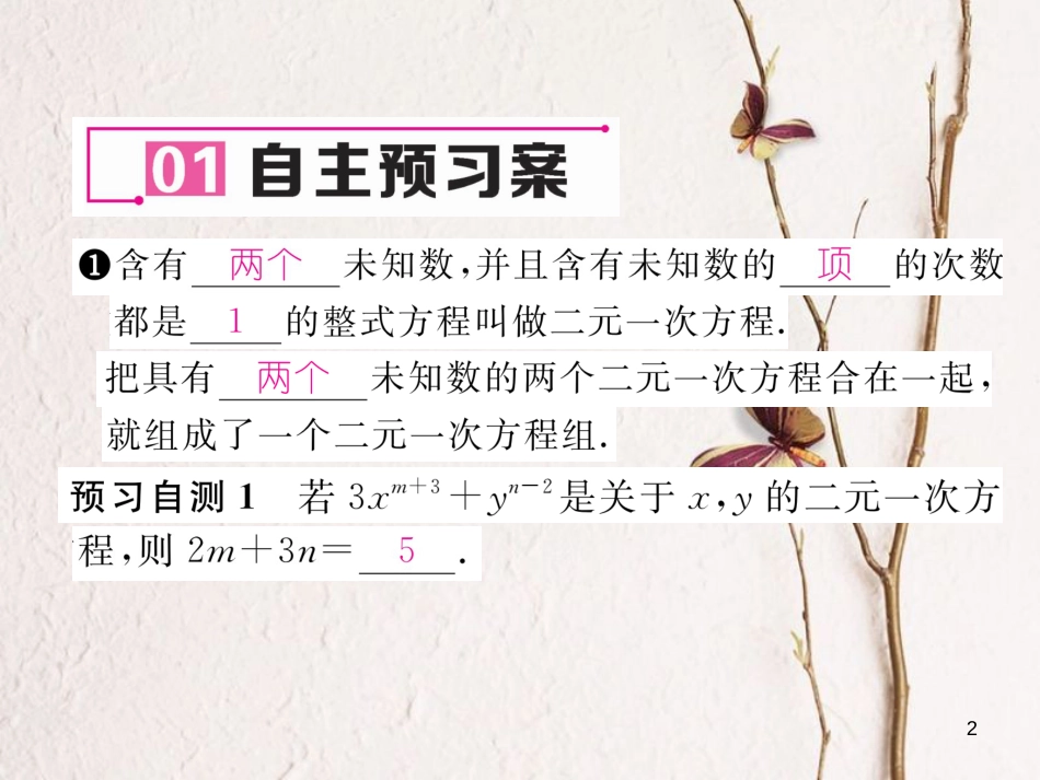 （黔西南专版）七年级数学下册 第8章 二元一次方程组 8.1 二元一次方程组作业课件 （新版）新人教版_第2页