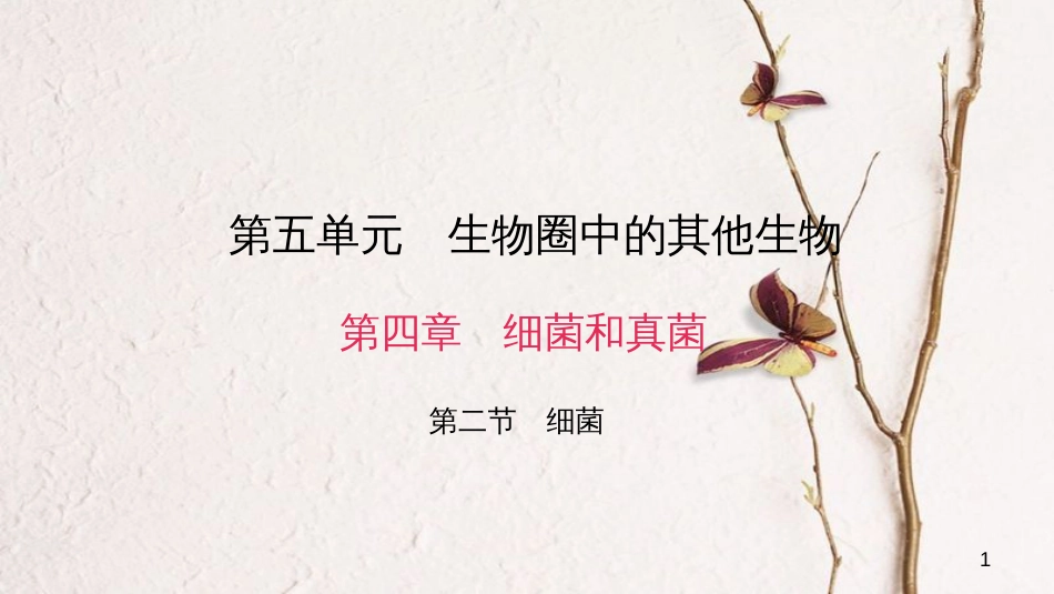 八年级生物上册 第五单元 第四章 第二节 细菌课件 （新版）新人教版_第1页