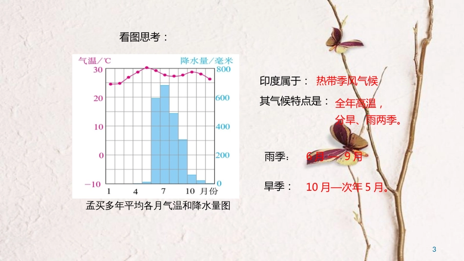 中考地理一轮复习 热带季风气候和粮食生产课件_第3页