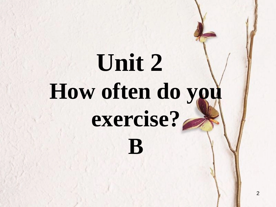 八年级英语上册 口头表达专练 Unit 2 How often do you exercise Section B课件 （新版）人教新目标版_第2页