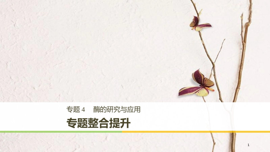 高中生物 专题4 酶的研究与应用专题整合提升同步备课课件 新人教版选修1_第1页