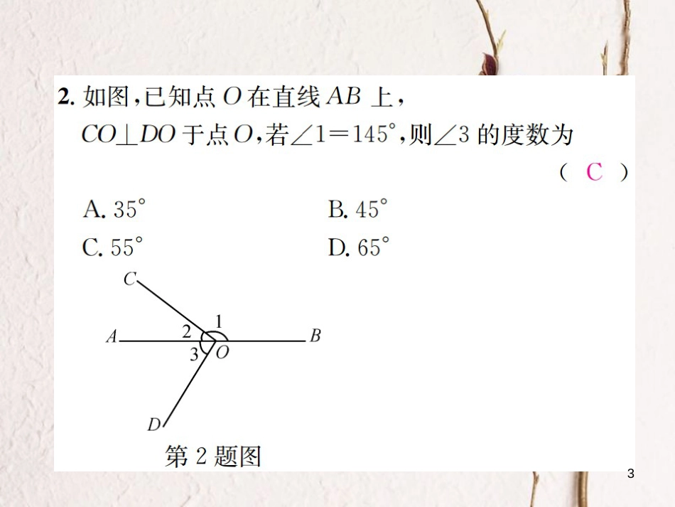 七年级数学上册 6.9 直线的相交 第2课时 垂线习题课件 （新版）浙教版_第3页