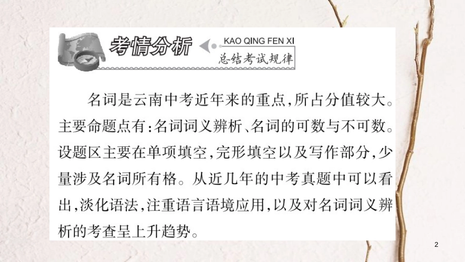 云南省中考英语学业水平精准复习方案 第二部分 语法强化 专题一 名词课件_第2页