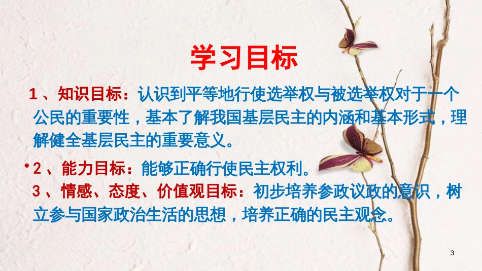 九年级政治全册 第四单元 又到两会时 第十一课《神圣的一票》课件2 教科版_第3页