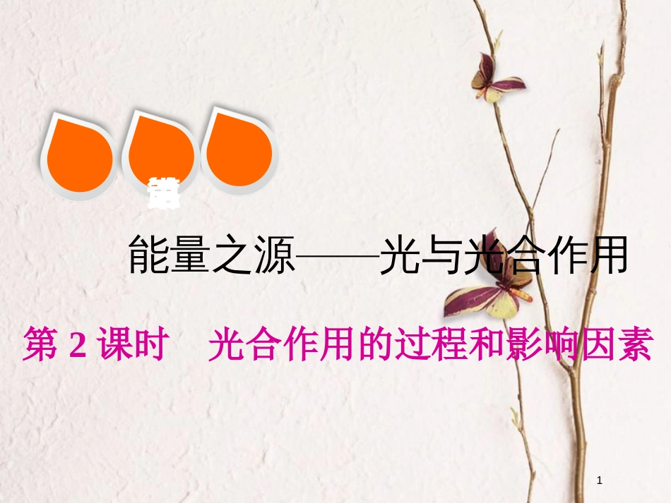 2019版高考生物一轮复习 第三单元 细胞的能量供应和利用 第三讲 第2课时 光合作用的过程和影响因素精选课件_第1页