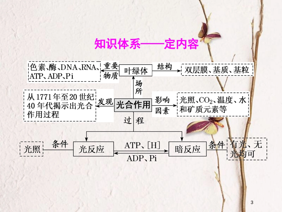 2019版高考生物一轮复习 第三单元 细胞的能量供应和利用 第三讲 第2课时 光合作用的过程和影响因素精选课件_第3页
