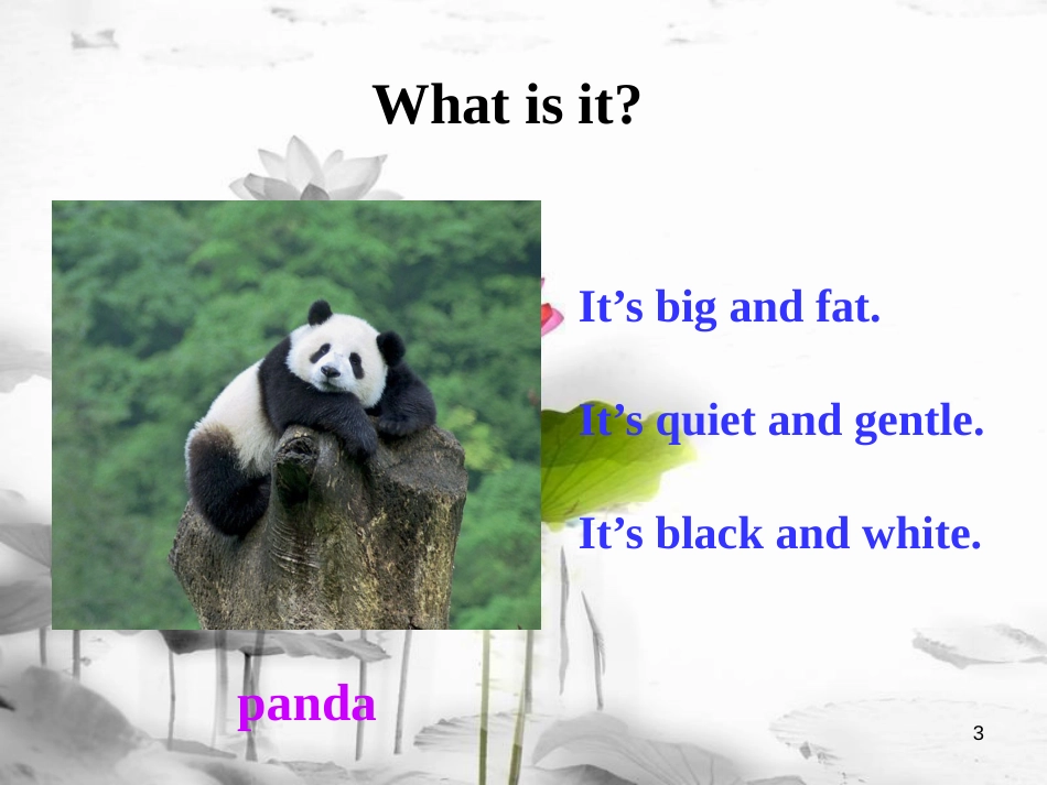 七年级英语下册 Unit 5 Why do you like pandas Section A Period 2（3a-3c）课件 （新版）人教新目标版_第3页