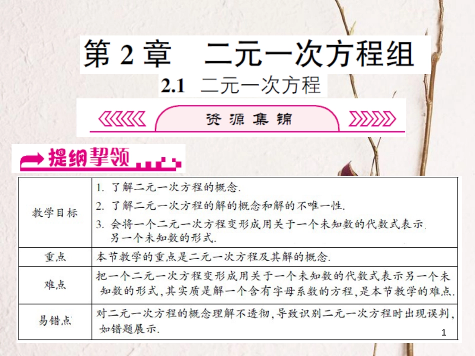 浙江省嘉兴市秀洲区七年级数学下册 第2章 二元一次方程组 2.1 二元一次方程课件 （新版）浙教版_第1页