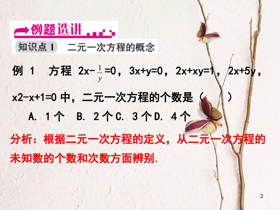 浙江省嘉兴市秀洲区七年级数学下册 第2章 二元一次方程组 2.1 二元一次方程课件 （新版）浙教版_第2页