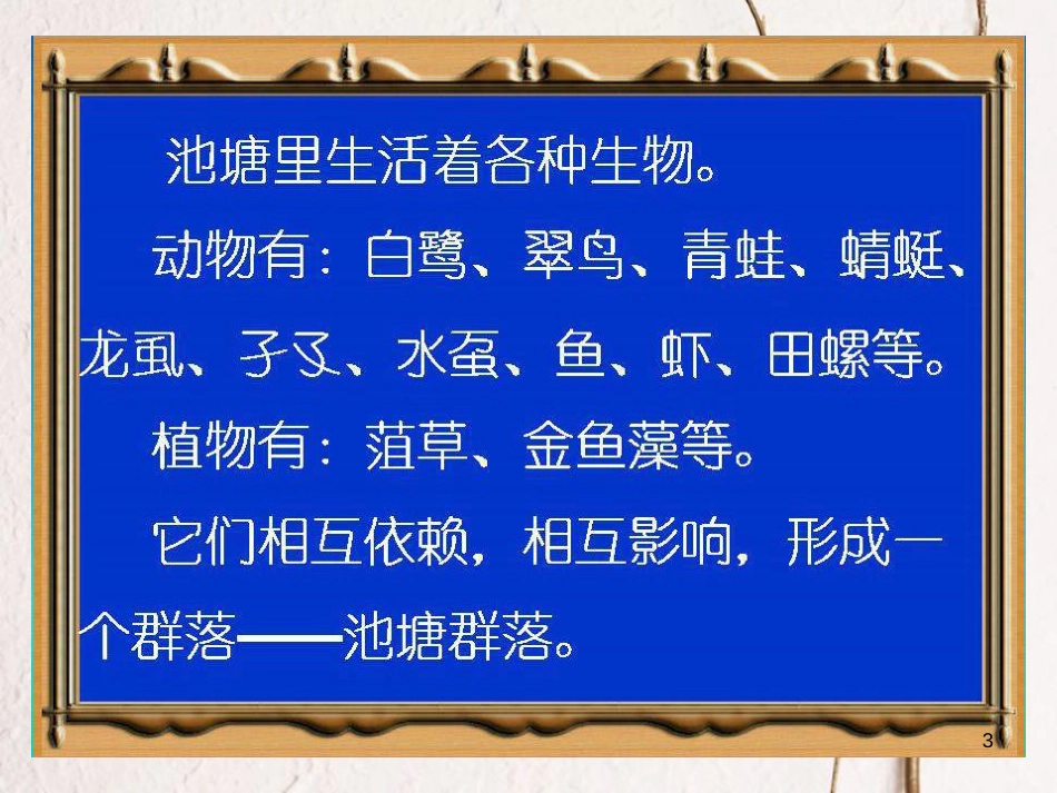 六年级科学上册 1.3 走进池塘课件2 湘教版_第3页