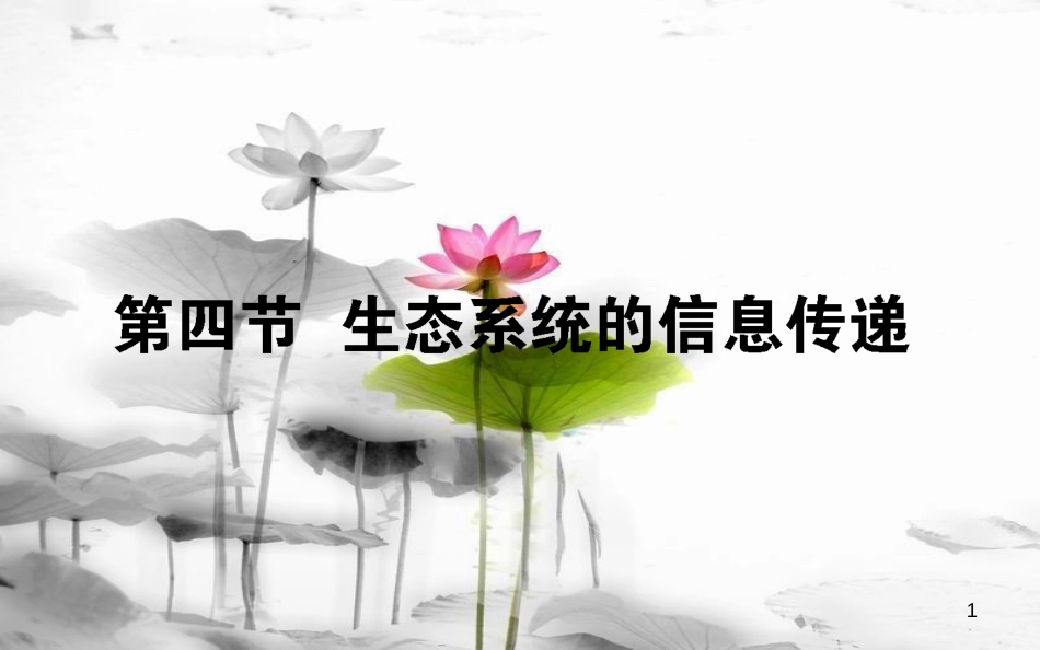 高中生物 第5章 生态系统及其稳定性 5.4 生态系统的信息传递习题课件 新人教版必修3_第1页