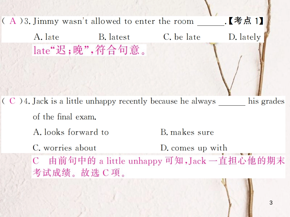 贵州省九年级英语全册 Unit 7 Teenagers should be allowed to choose their own clothes（第4课时）习题课件 （新版）人教新目标版_第3页