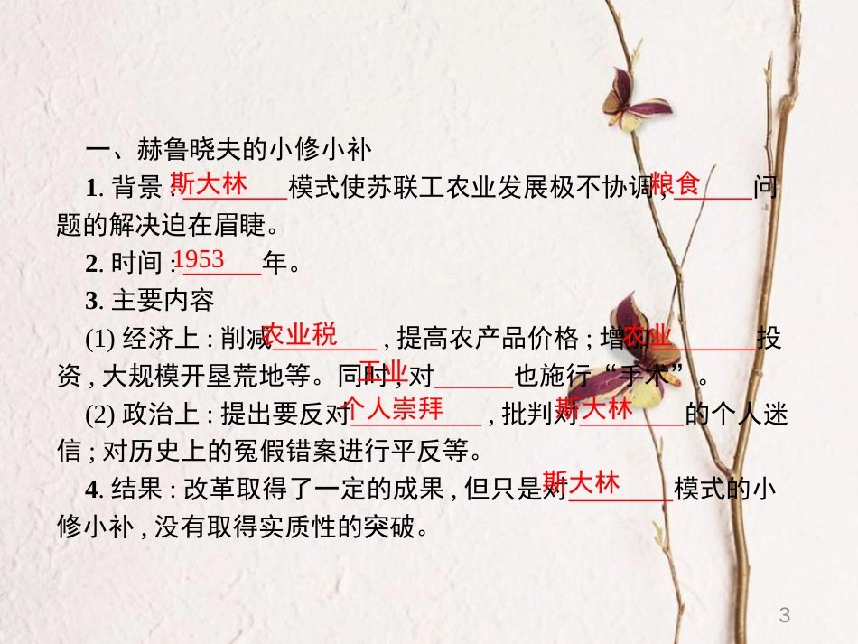 九年级历史下册 第三单元 两极下的竞争 12 苏东的艰难探索课件 北师大版_第3页