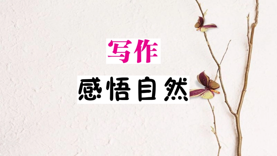 九年级语文下册 第一单元 写作 感悟自然作业课件 语文版_第1页