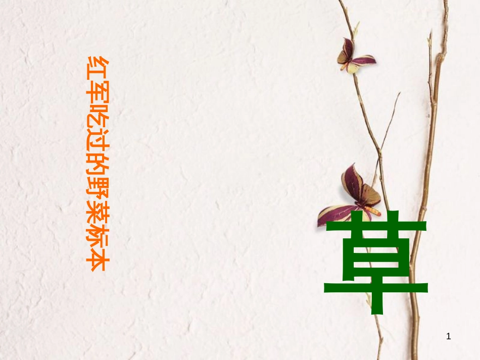 八年级语文上册 第一单元 4 草课件 苏教版_第1页