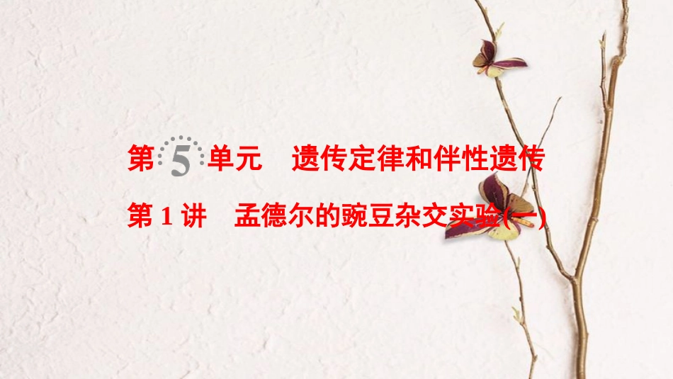 （全国版）2019版高考生物一轮复习 第5单元 遗传定律和伴性遗传 第1讲 孟德尔的豌豆杂交实验(一)课件_第1页